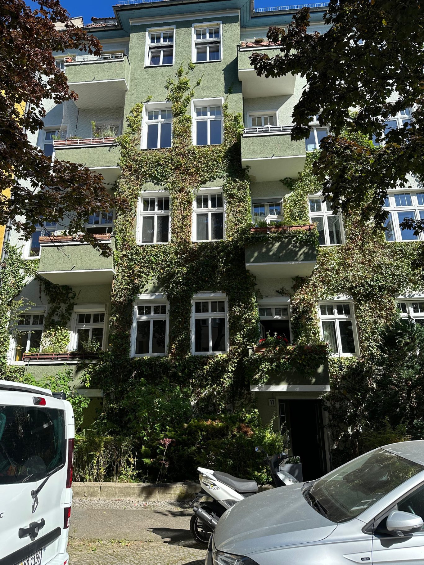 Nachher: Der Efeu wurde fachgerecht zurückgeschnitten. So bleibt der grüne Charakter erhalten und die Bausubstanz wird spürbar entlastet. Nachher: Fachgerechter Rückschnitt des Efeus