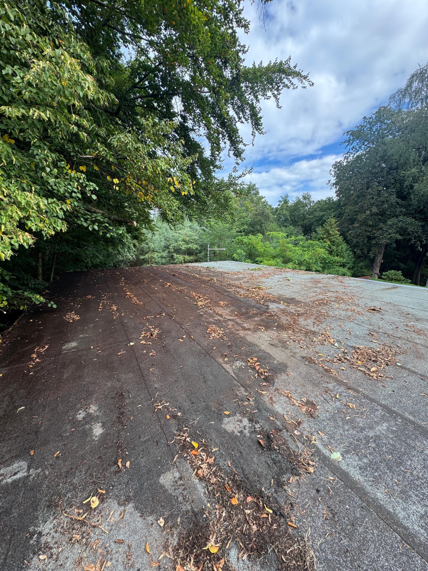 Nachher: Dach von Schmutz und Bewuchs befreit. Entlastung und Schutz der Substanz. Nachher: Last vom Garagendach entfern