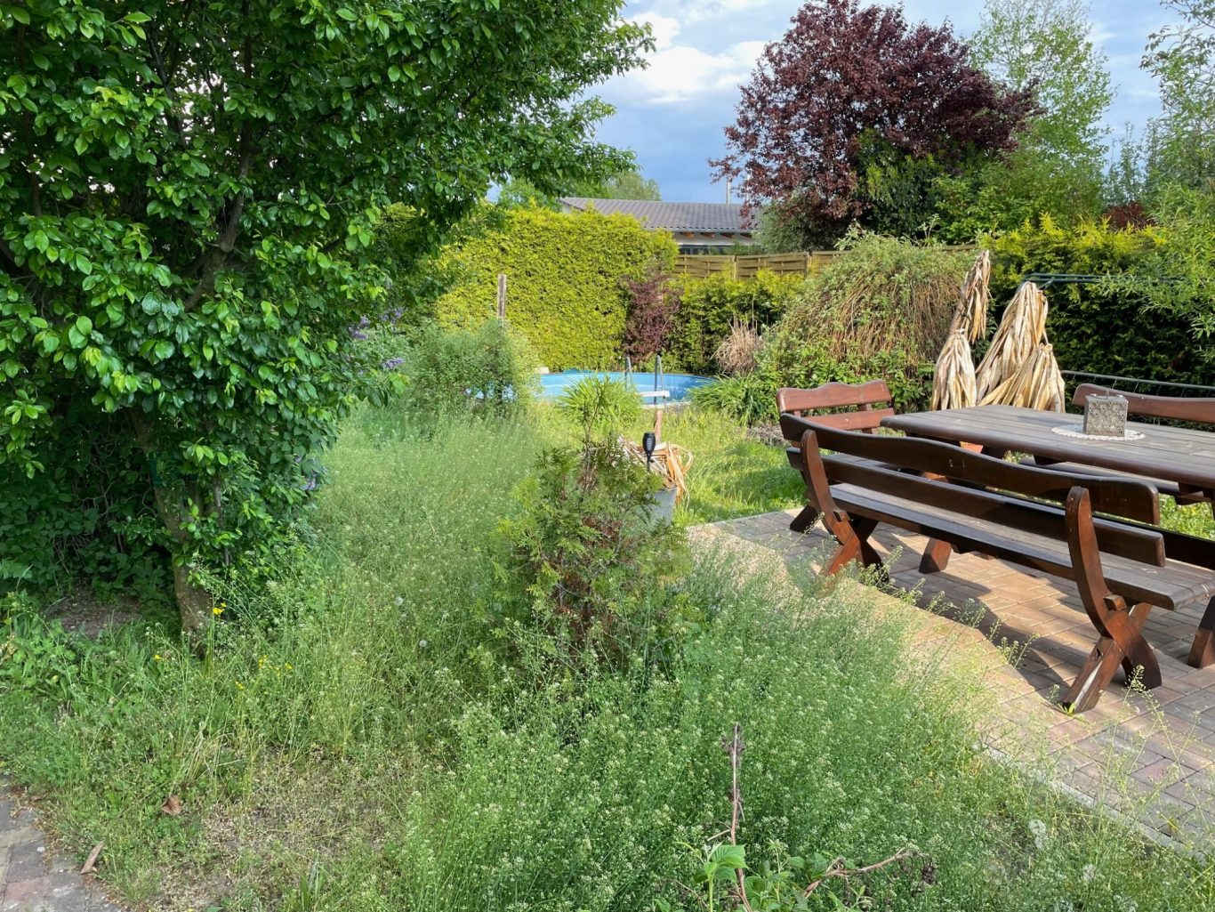 Vorher: Ein Garten mit überwucherter Vegetation. Vorher: Überwucherter Garten