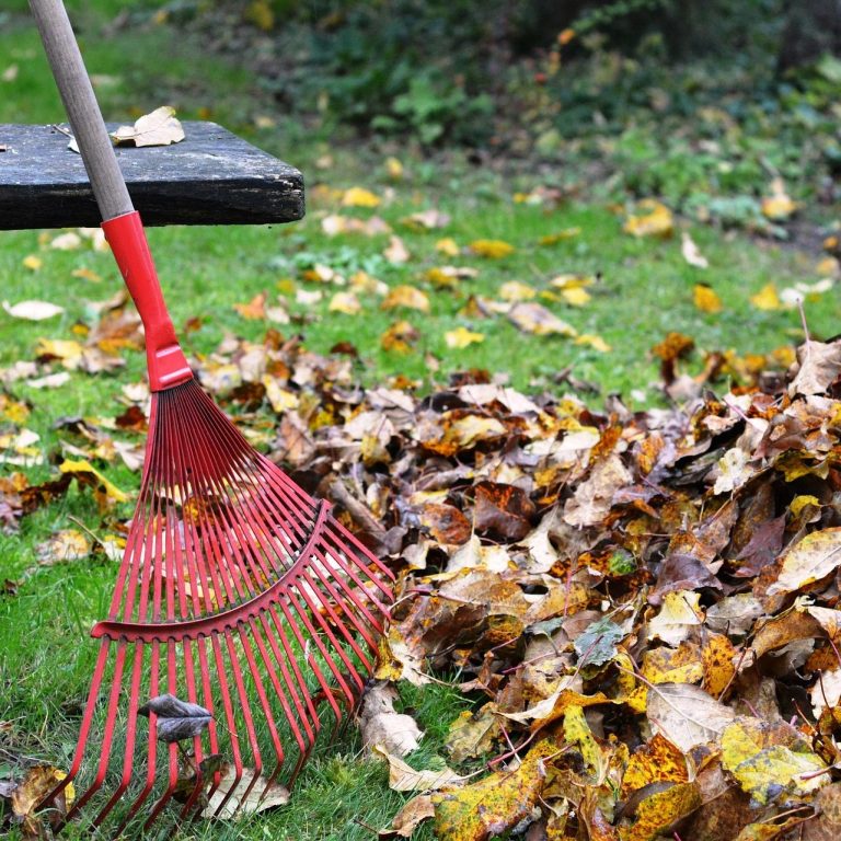 Garten Herbstpflege & Laubbeseitigung Garten Herbstpflege & Laubbeseitigung