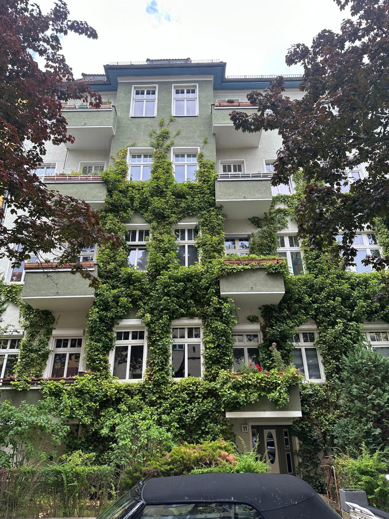 Vorher: Schwerer Efeu belastet die Fassade – Haftwurzeln ziehen am Putz, Rissbildung droht. Vorher: Schwerer Efeu an Fassade