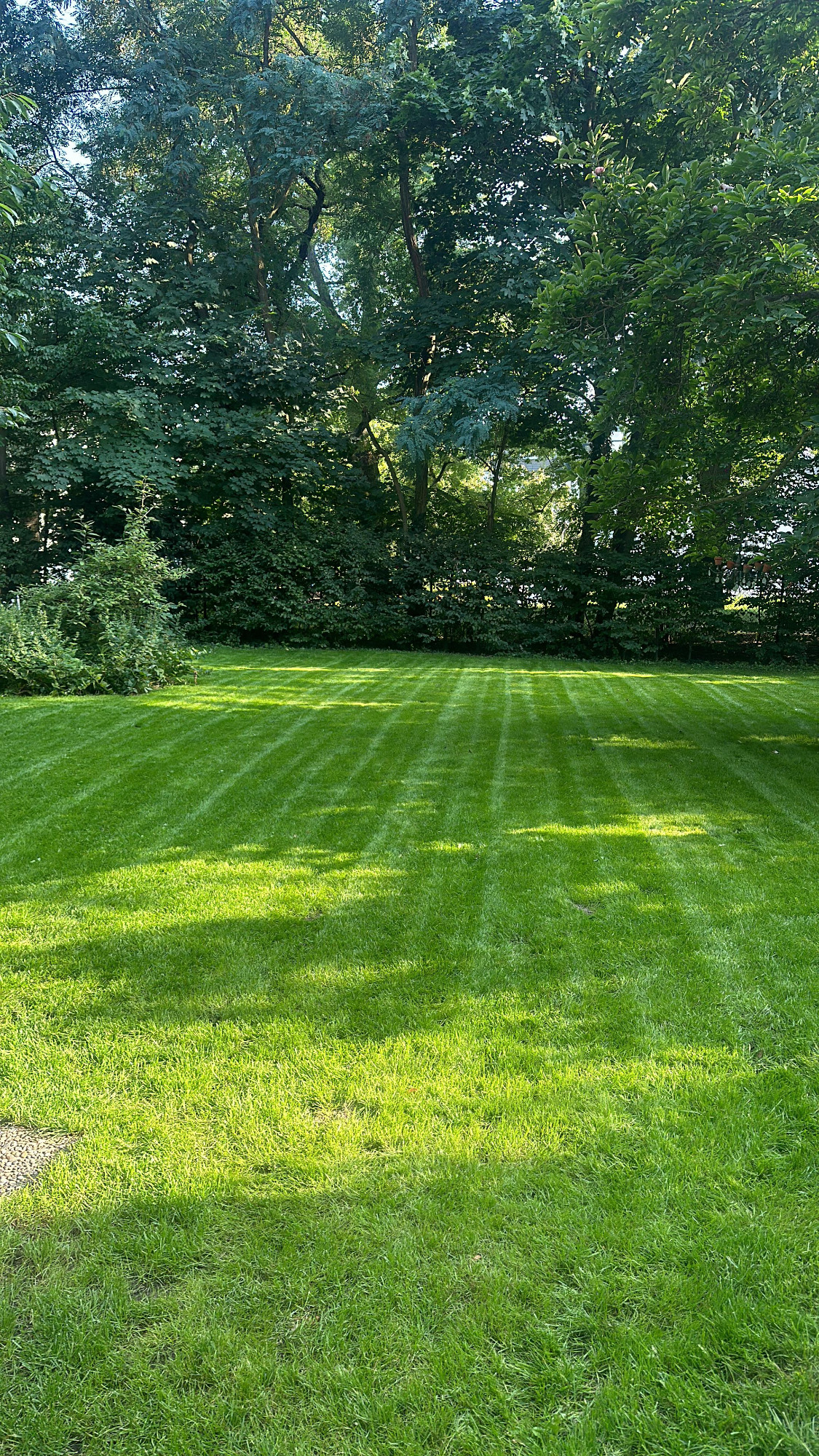 Rasenneuanlage am historischen Forsthaus Grunewald Rasenneuanlage am historischen Forsthaus Grunewald
