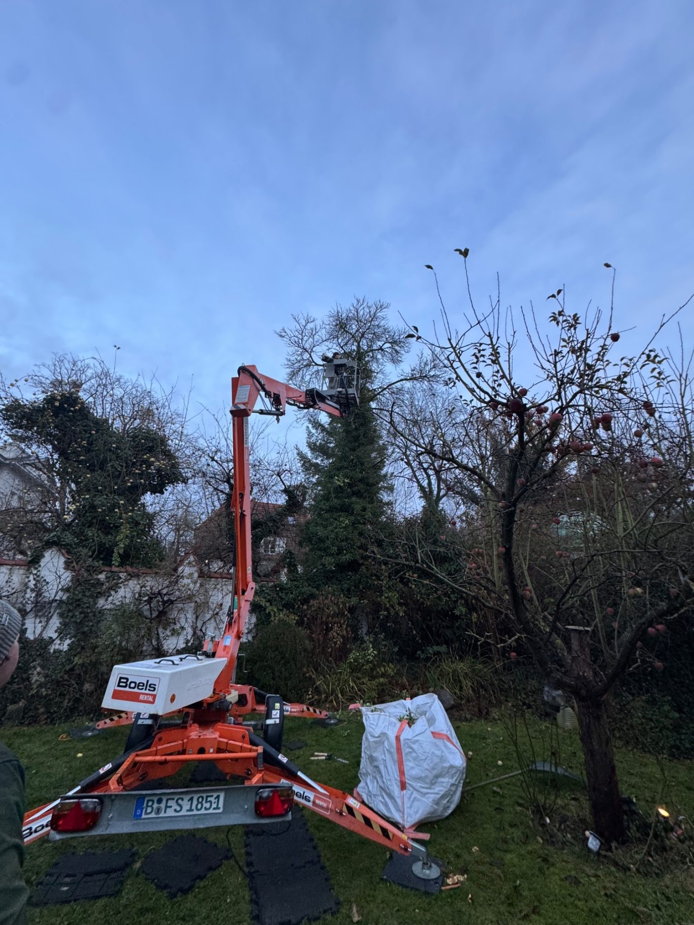 Baumpflege und Baumschnitt mit Hubarbeitsbühne Professionelle Baumpflege im Garten